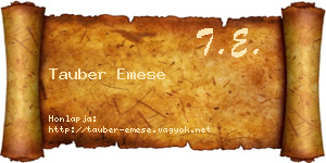 Tauber Emese névjegykártya